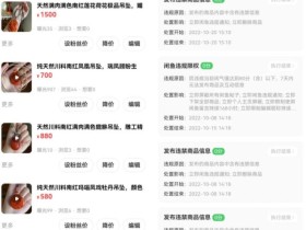 闲鱼315大批卖家账号违规或限流平台重点整顿方向无偿分享给你