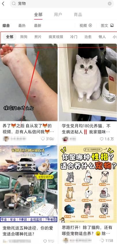 宠胖胖撸金项目新平台放水无脑搬砖日入100