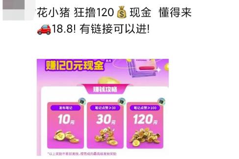 冒泡网花小猪白撸120元多号多撸入口有人收费188免费分享
