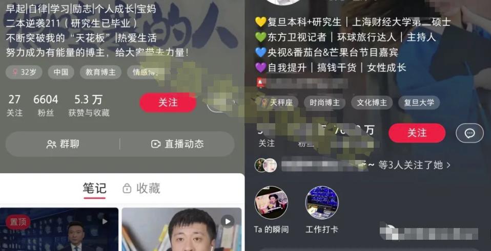 小红书个人IP模板发布最佳时间轻松打造高质量账号玩法无私分享给你