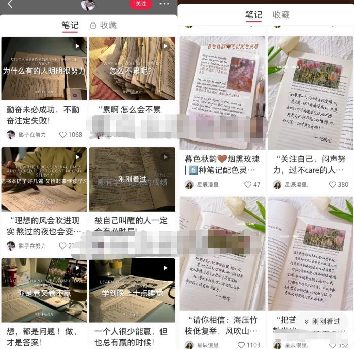 小红书个人IP模板发布最佳时间轻松打造高质量账号玩法无私分享给你