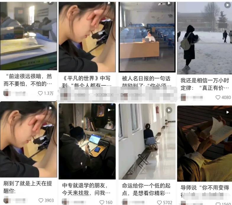 小红书个人IP模板发布最佳时间轻松打造高质量账号玩法无私分享给你
