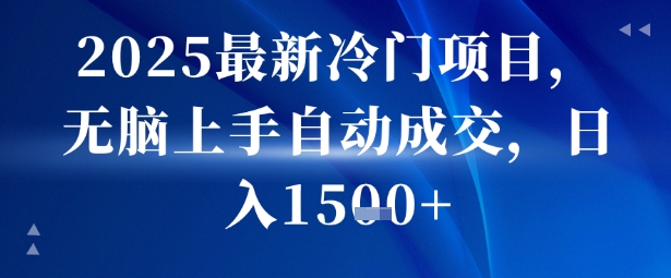2025最新冷门项目无脑上手自动成交日入多张